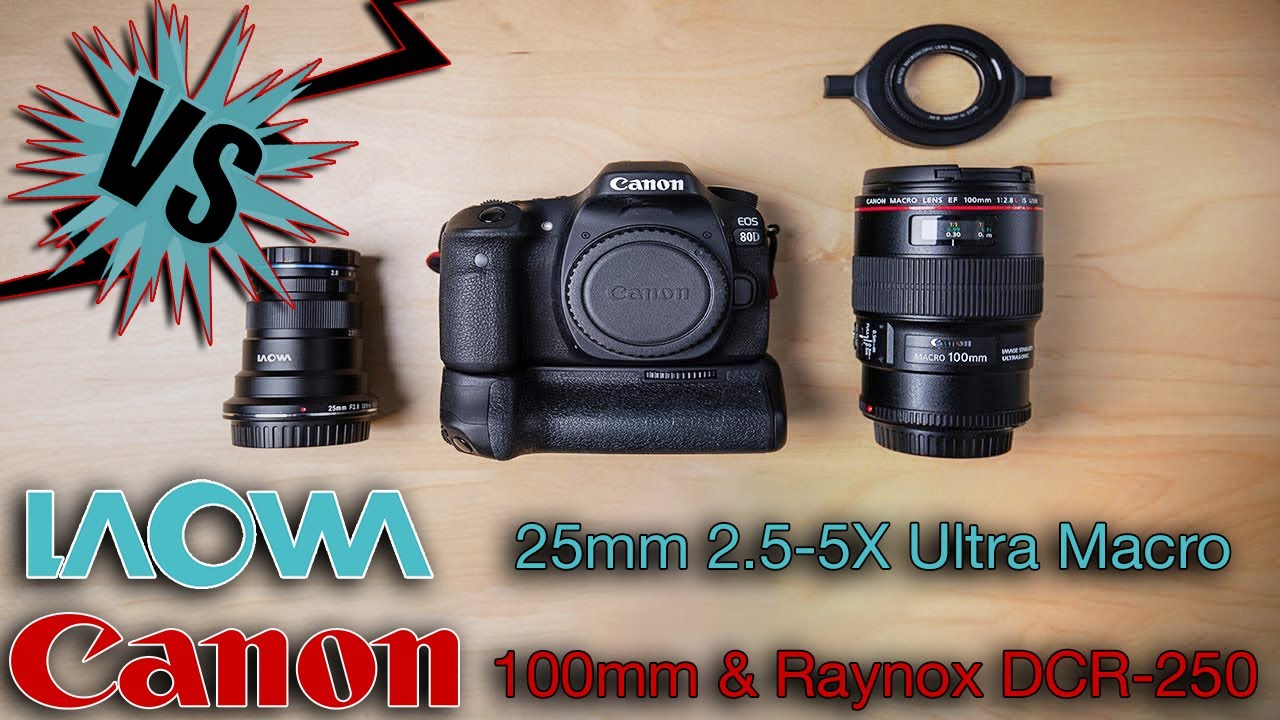 Laowa 25mm VS Canon 100mm with Raynox DCR250 [Which has better image