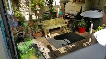 Picnic Table Bench Combo