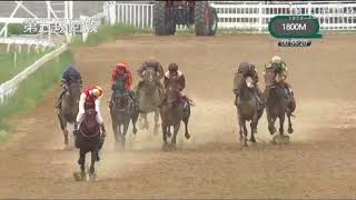 20180721 Yulong Class 3 (57-75) 1800m (Race 5) 玉龙国际赛马公开赛D10 第5场 玉龙常规赛三班赛事（57-75分） 1800米
