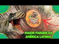 FUI NO MAIOR PARQUE DE DINOSSAUROS DA AMÉRICA LATINA!