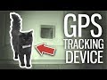 I GPS Tracked My Cats For 24 Hours