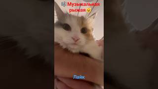 Музыкальная Рыжая