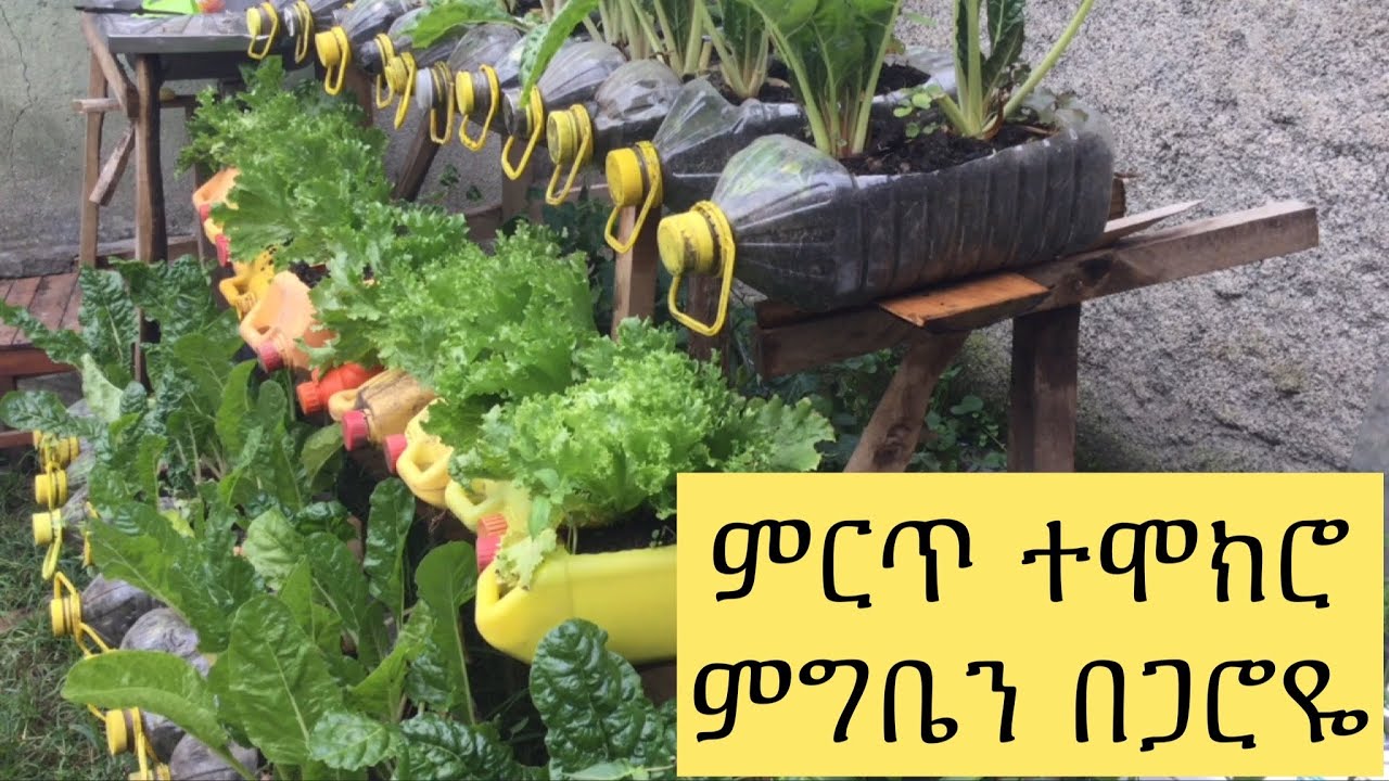 ውጤታማ አስገራሚ አመራረት ዘዴ