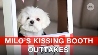 Milo's Kissing Booth Outtakes