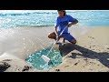 FINDING NEWBORN FISH IN THE SAND! *Crazy*