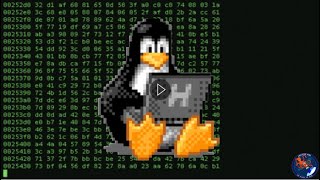 Kaspersky: Hackers against Linux are rampant screenshot 5