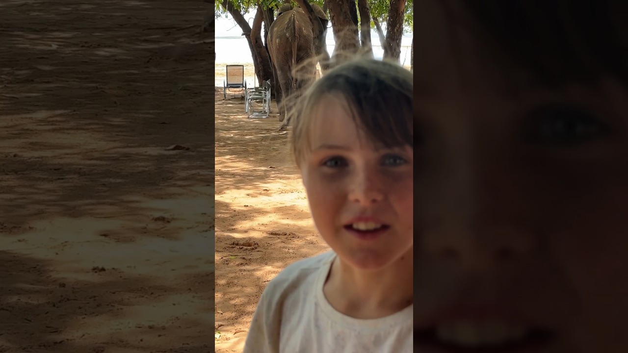 Breakfast with a wild herd of elephants - nothing quite like this amazing experience! 😱 