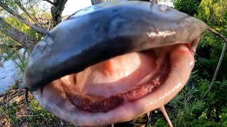 When A Plan Works Out, Mississippi River Catfish Fishing