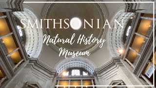 Smithsonian National Museum of Natural History - DC Trip Review