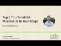 Top 5 Tips To Inhibit Mycotoxins In Your Silage | Dr David Townsend | EnviroSystems UK