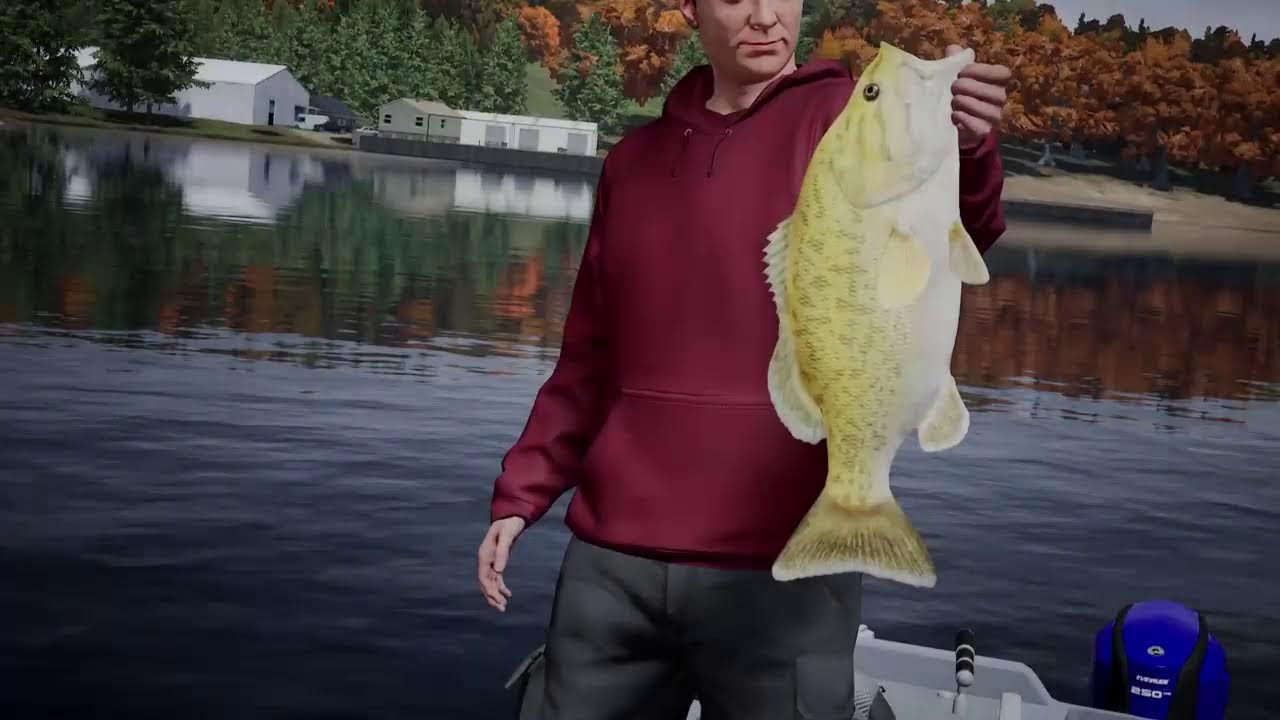 DFL Match Series Tournament