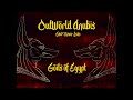 Outworld anubis  gods of egypt