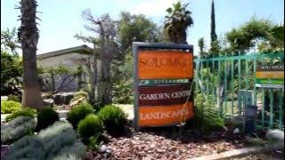 Let's Go! - Solomou Garden Center