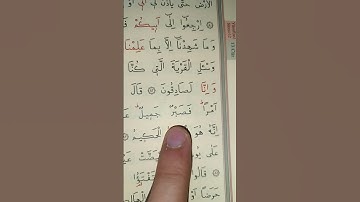 فَصَبْرٌ جَمِيلٌ عَسَى اللَّهُ أَنْ يَأْتِيَنِي بِهِمْ جَمِيعًا سورة يوسف