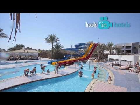 Video: Mga Namumulaklak Na Puno Ng Hurghada