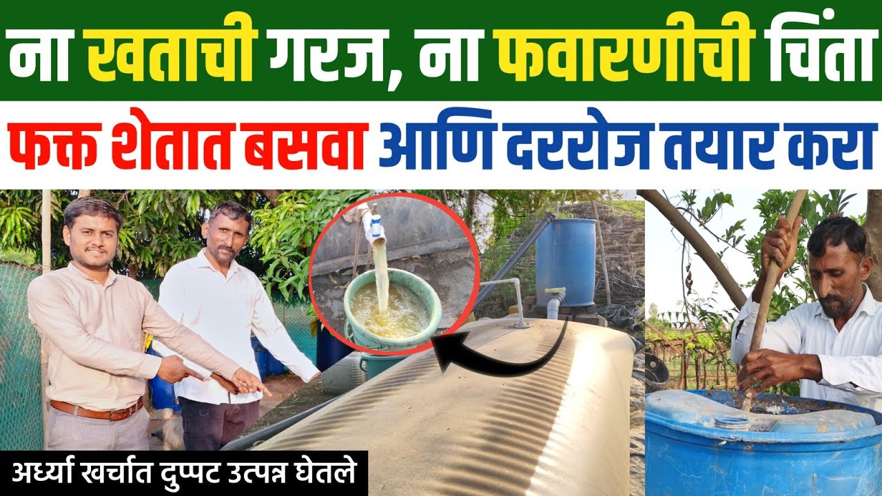 ना खताची गरज ना फवारणीची चिंता, एकदा बसवून दररोज तयार करा | organic farming | jivamrut marathi 