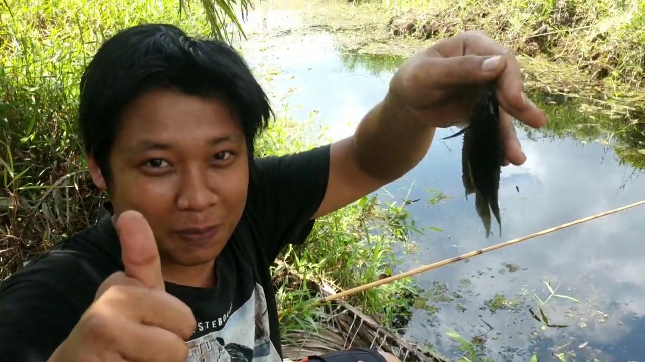 Mancing ikan kepar di sungai kecil