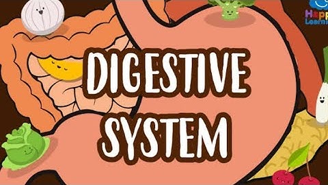DIGESTIVE SYSTEM - science 5 - samacheer