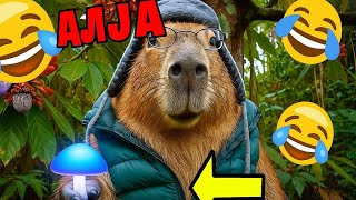Capybara come hongo loco