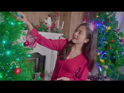 Video Đèn Sao Thông Minh - Trang Trí Cây Thông, Đào, Mai - youtube