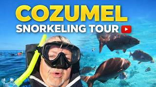 Three Reef Snorkel Tour Cozumel Mexico - MSC Cruise Excursion