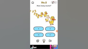 brain out game level-2 (how many ducks)