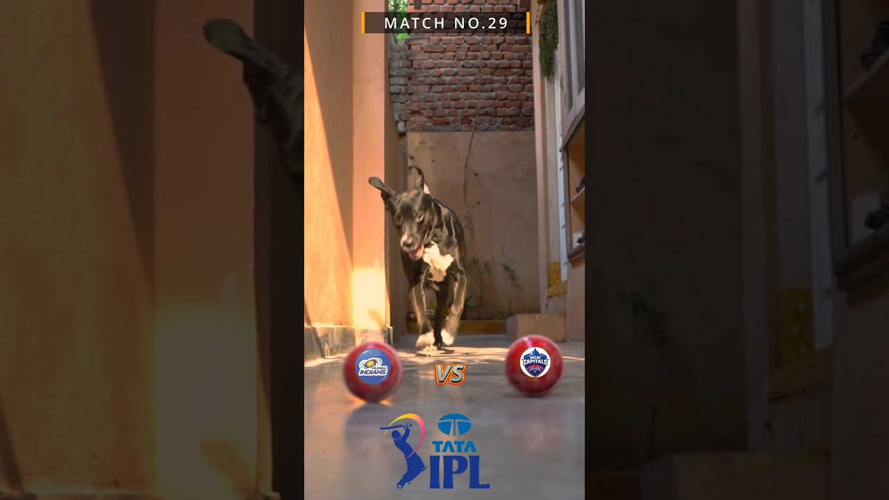 DC VS MI I MATCH PREDICTION | IPL 2025 | MATCH NO.29 | 