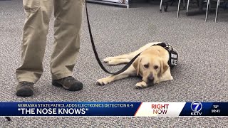 'The nose knows': Nebraska State Patrol adds Electronics Detection K9