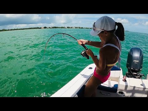 Vídeo: Pescando Nas Praias De Fort Myers E Sanibel, Flórida