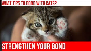 How to Build a Strong Bond with Your Cat by Kitty Cat's Corner 195 views 1 month ago 4 minutes, 23 seconds