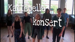 Kattepella sommarkonsert 2020