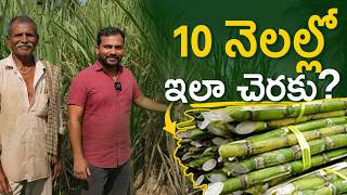 ₹60,000 నుండి ₹25,000 కు! | ఒక రైతు నిజ జీవిత అనుభవం | Sugarcane Farming