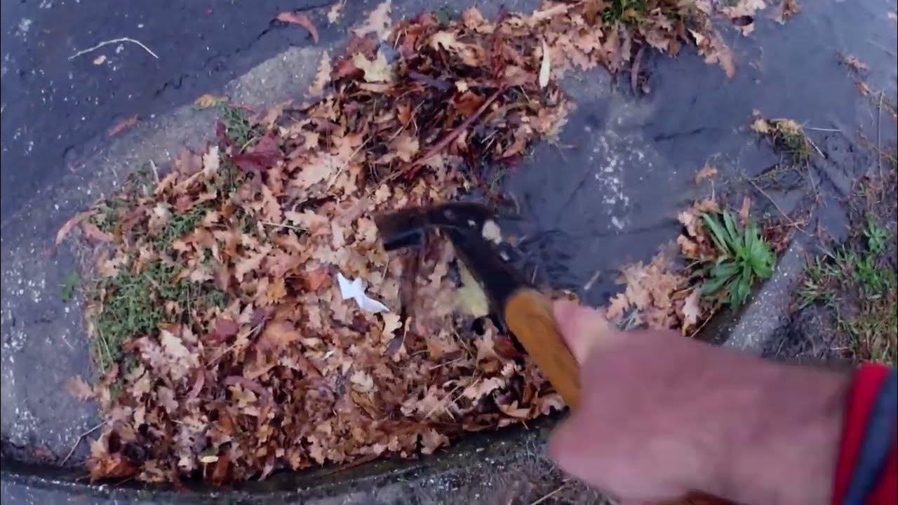 Autumn Leaves blocking drain remastered YouTube