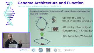 Dave Thirumalai, The University of Texas at Austin, USA