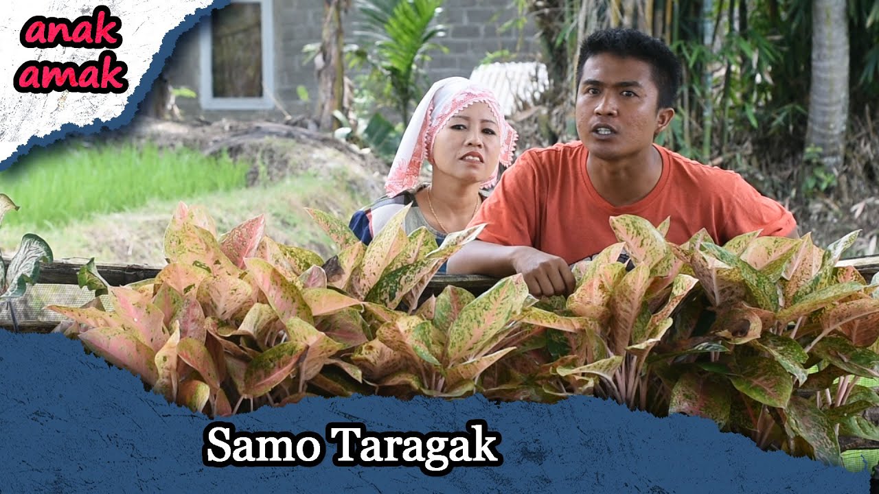Samo Taragak | Lawak Minang