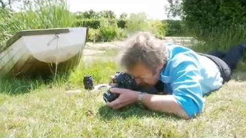 Macro Reversing Ring (sample)