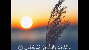 سورة الرحمن بصوت جميل جدا