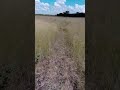 Northern Namibia, savannah untouched land