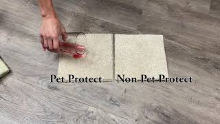 Solution Dyed Pet Friendly Carpet- Worth it??