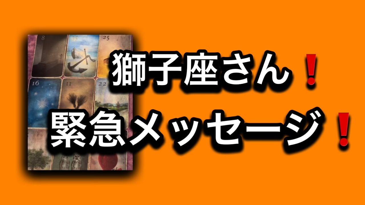 【2025⭐️素晴らしい締めくくりの月になる✨獅子座さんへ表示されています】⚡️ここから１ヶ月😱全体運⭐️仕事運⭐️恋愛運🩷人間関係🩷ガッツリ読み解きました🃏