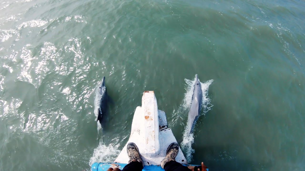Beyt Dwarka - Cinematic Travel Video | Dolphin Exploration | Sony a6600 + 50mm f1.8 |Gujarat Tourism