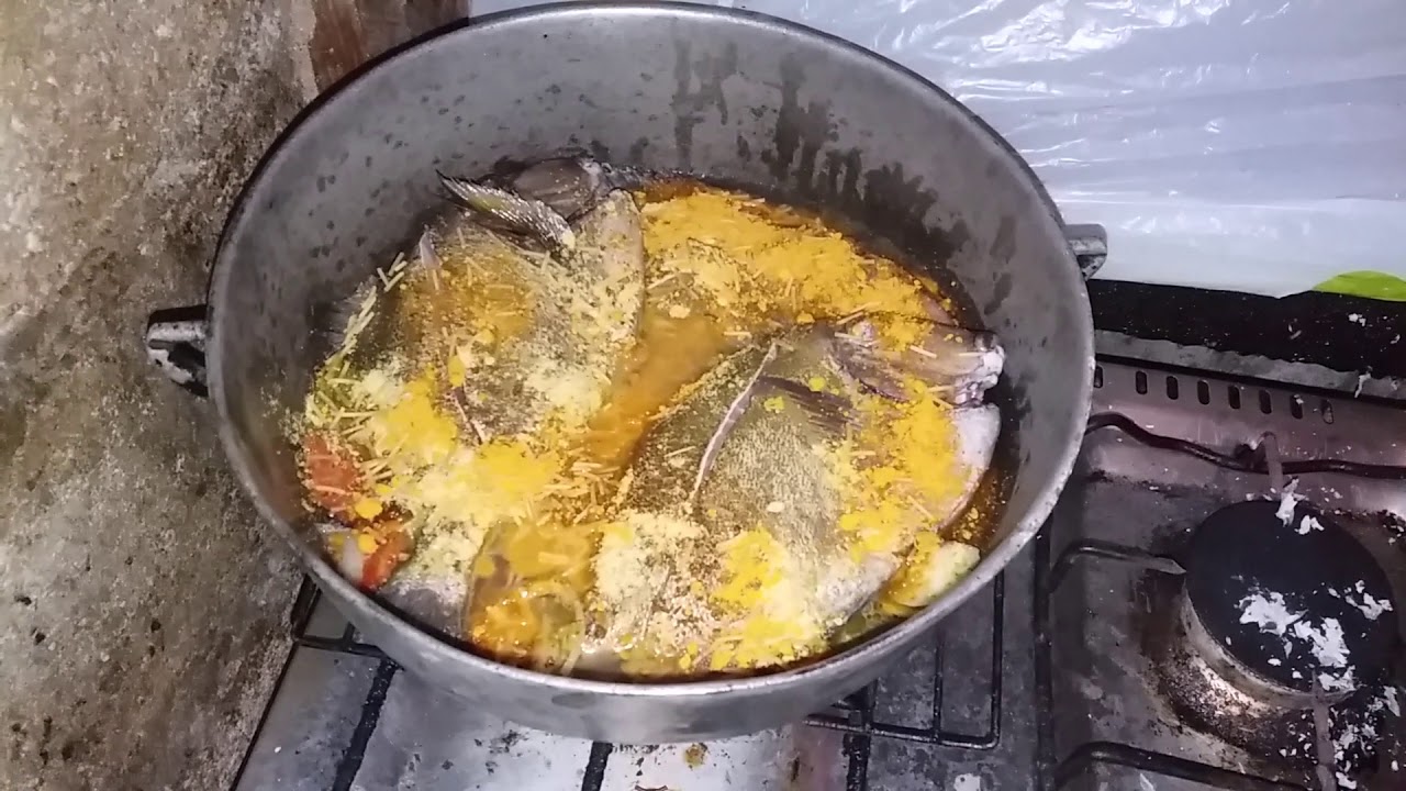 Doctor Fish Recipe Doctor Fish Steam - YouTube