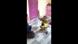 Jason Hand Nearly Slap Provoke Mom To Toss Ping Pong Proper
