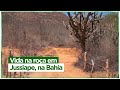 Vida rural em Jussiape, na Chapada Diamantina, Bahia.