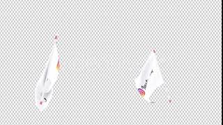 Flag Transition - Instagram | Motion Graphics - Envato elements