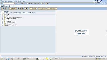 Vendor down payment posting and clearing in sap fico