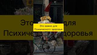 Где твоё настроение ? #настроение #здоровыйобразжизни #питание #еда #кишечник #ментальноездоровье