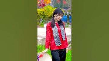 Tết tết tết là tết là tết, tết vừa đến đây dưới mái hiên nhà - Nhạc Tết 2023