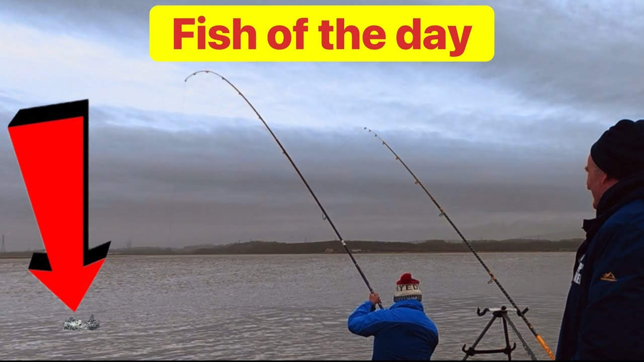 Fantastic day on the fish , uk sea fishing . Sea fishing north west 