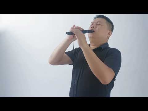 carry-on digital wind instrument review